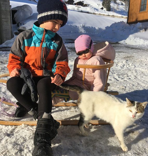 Kinderparadies am Biobauernhof Aubauer, Urlaub am Bauernhof in Großarl