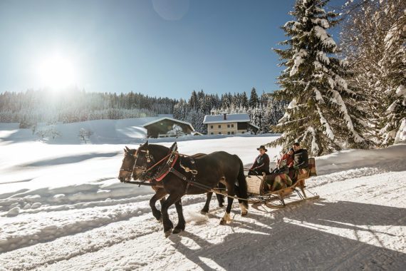 Pferdeschlittenfahrten im Salzburger Land