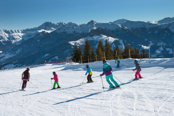 Skiurlaub im Großarltal, Ski amadé